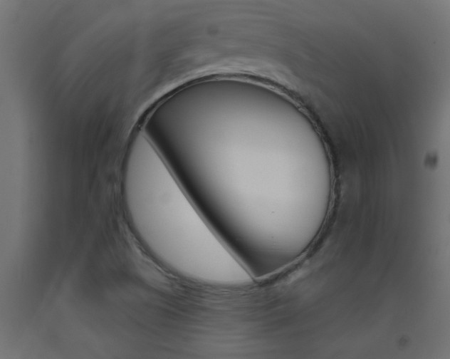 X0000093451505200710120955