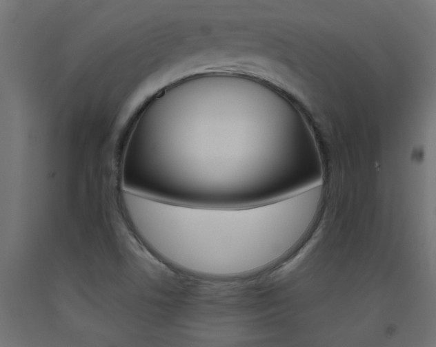 X0000093451506200710120955