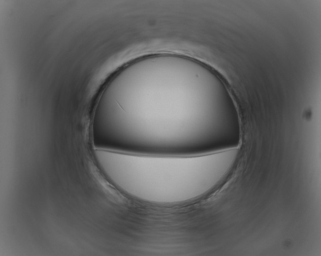 X0000093451507200710120955