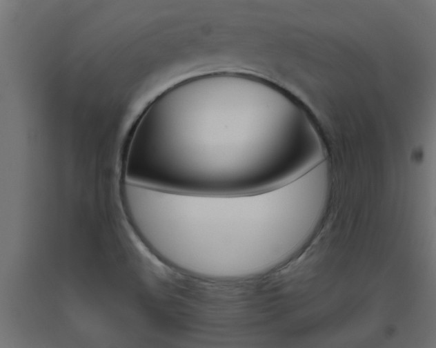 X0000093451508200710120955