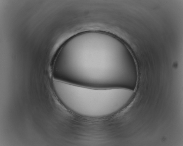 X0000093451509200710120955