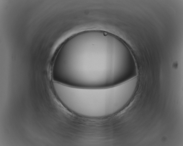 X0000093451510200710120955