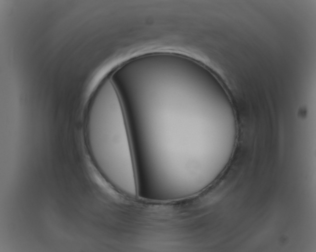 X0000093451511200710120955