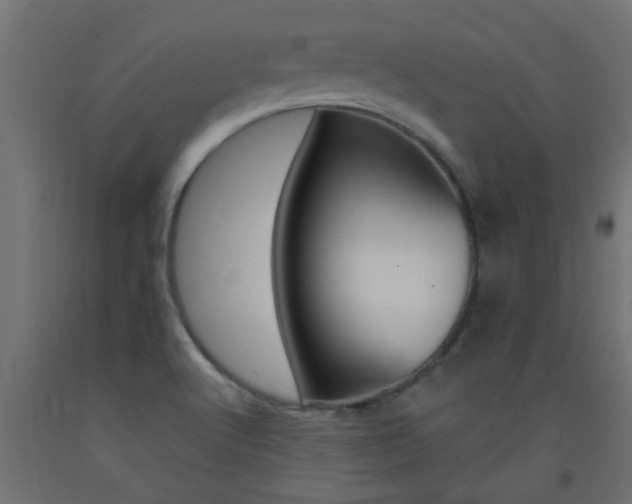 X0000093451512200710120955