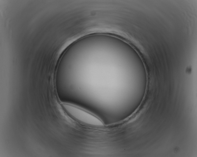 X0000093451513200710120955