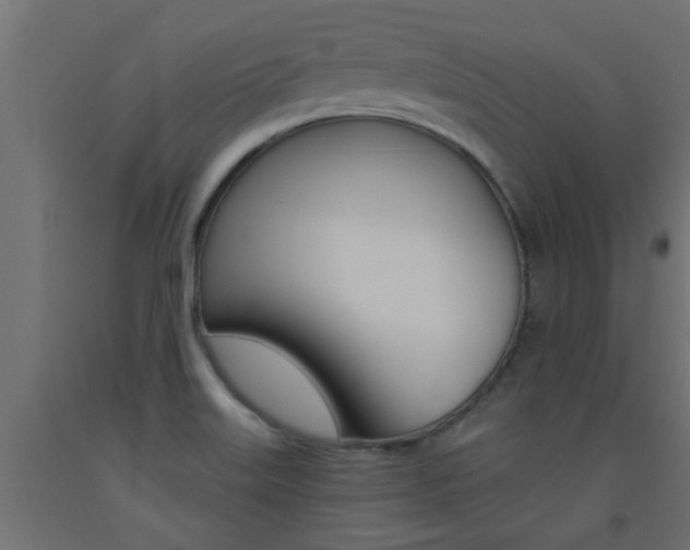 X0000093451515200710120955