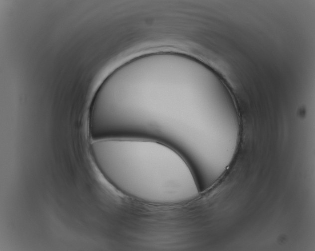 X0000093451516200710120955