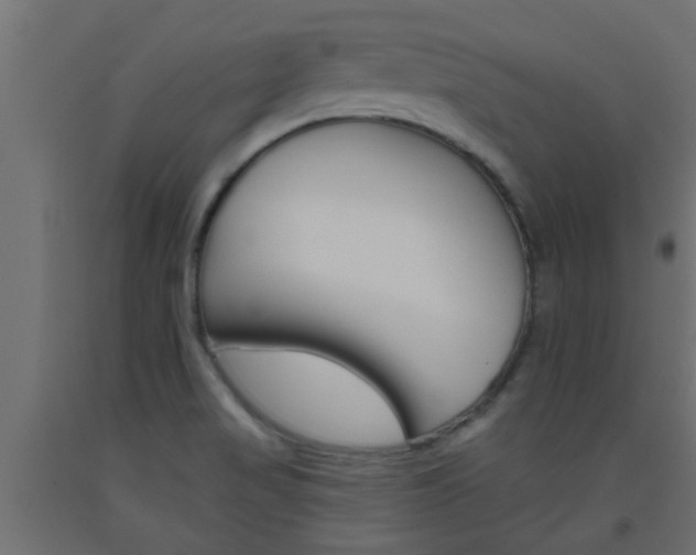 X0000093451517200710120955