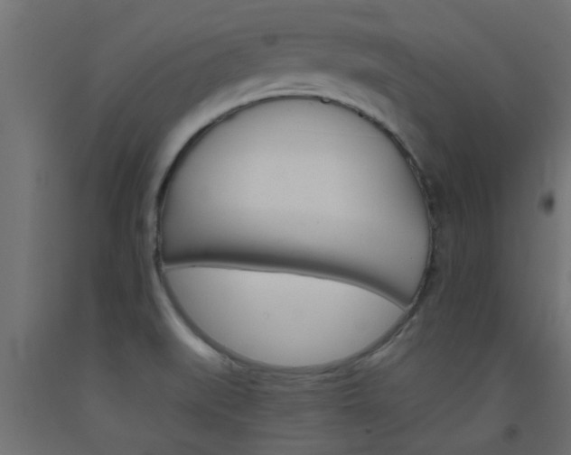 X0000093451519200710120955