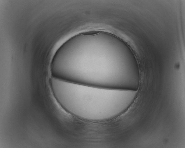X0000093451520200710120955