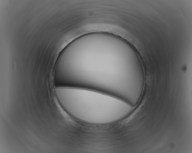 X0000093451521200710120955