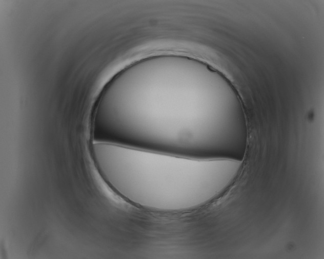 X0000093451523200710120955