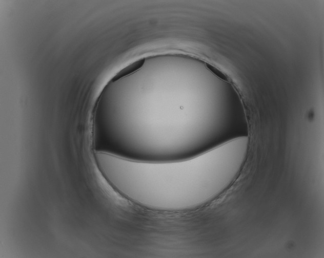 X0000093451524200710120955