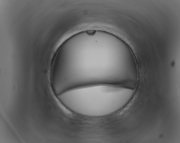 X0000093451525200710120955