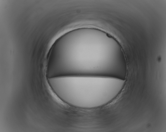 X0000093451526200710120955