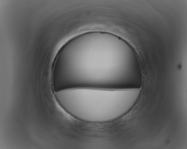 X0000093451527200710120955