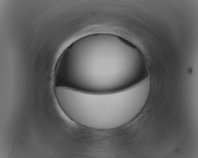 X0000093451528200710120955