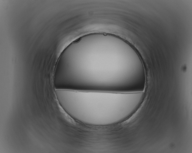 X0000093451529200710120955