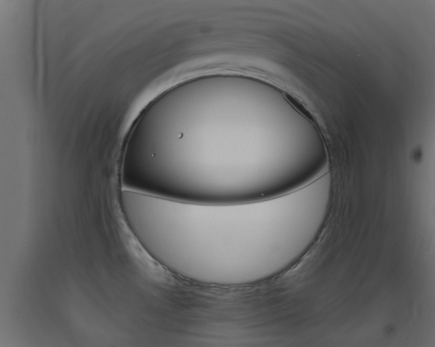 X0000093451530200710120955