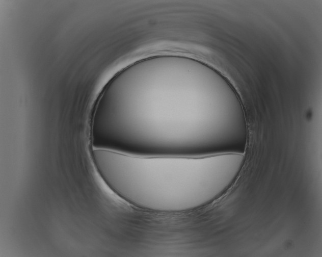X0000093451531200710120955