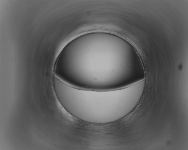 X0000093451532200710120955
