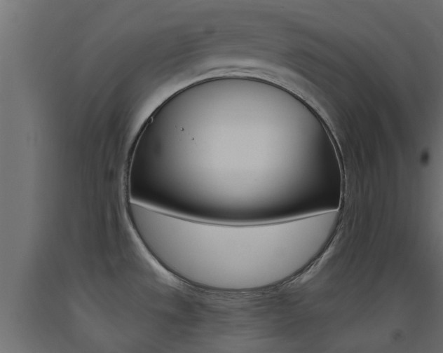 X0000093451533200710120955