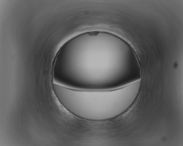 X0000093451534200710120955