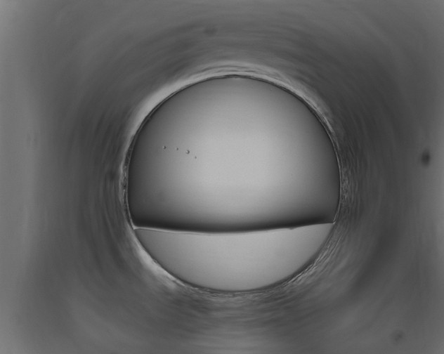 X0000093451535200710120955