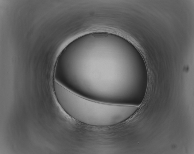 X0000093451536200710120955
