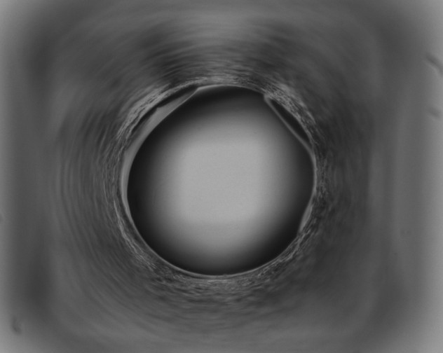 X0000093450001200710121404