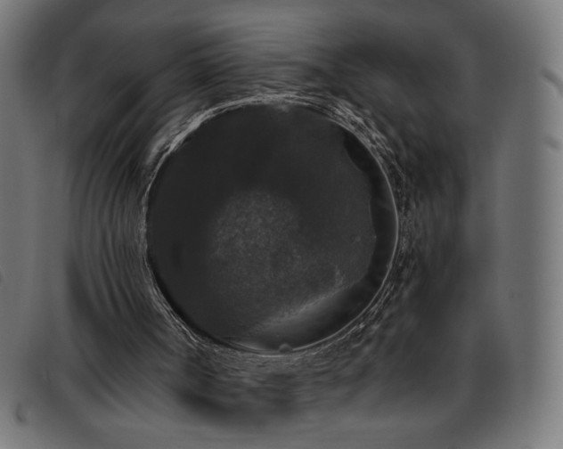 X0000093450002200710121404