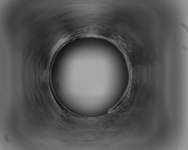 X0000093450003200710121404