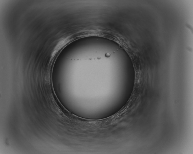 X0000093450004200710121404