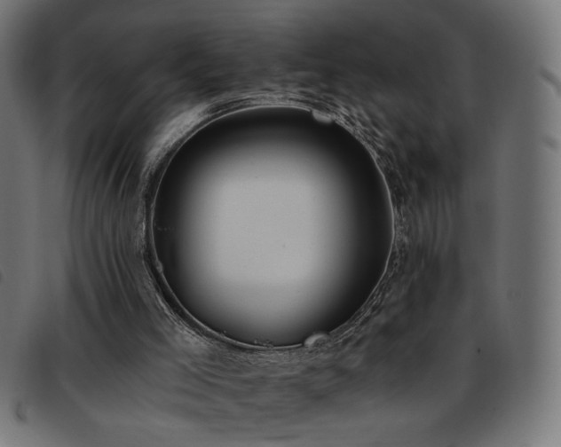 X0000093450005200710121404