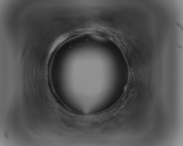 X0000093450006200710121404