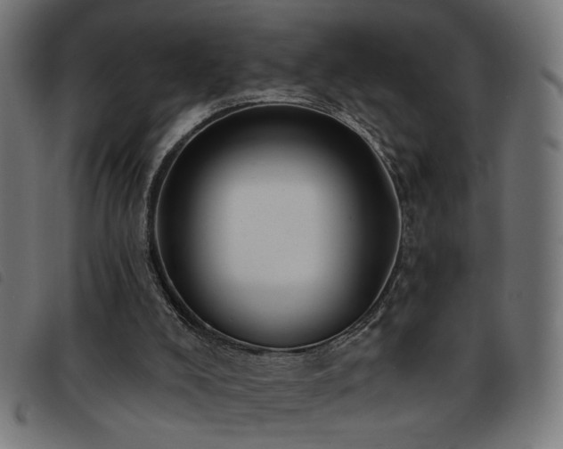 X0000093450008200710121404