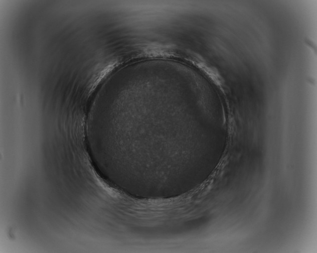 X0000093450009200710121404