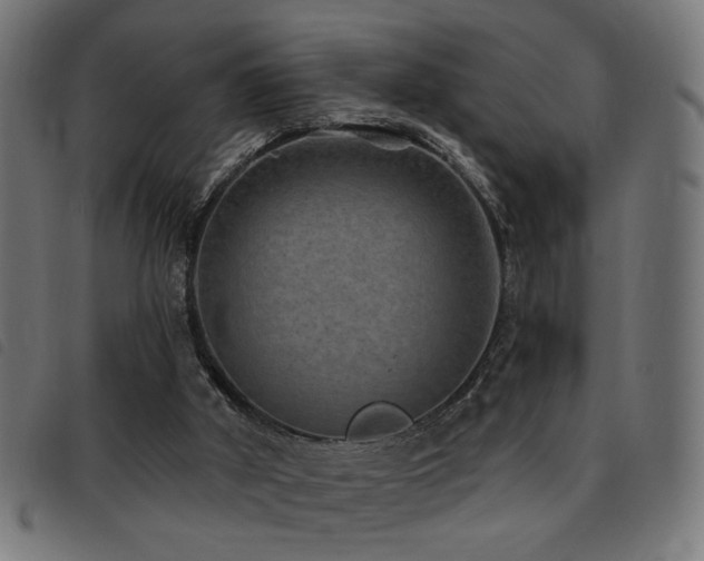 X0000093450010200710121404