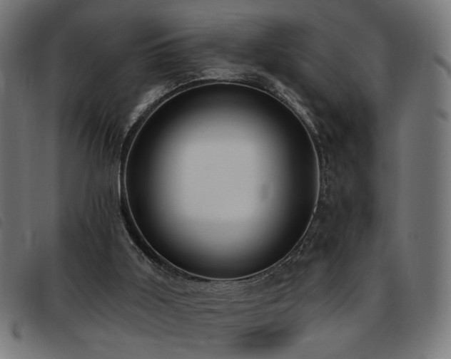 X0000093450011200710121403