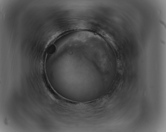 X0000093450012200710121403