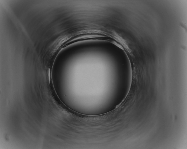 X0000093450013200710121403