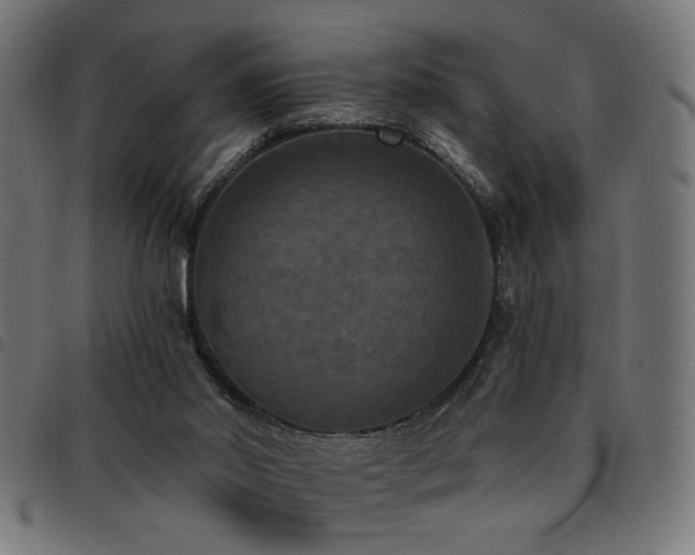 X0000093450014200710121403