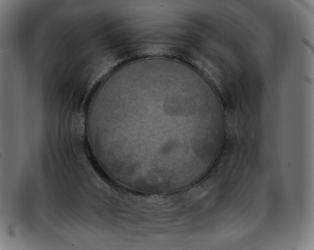 X0000093450016200710121403