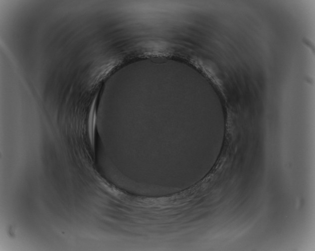 X0000093450017200710121403