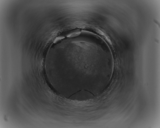 X0000093450018200710121403