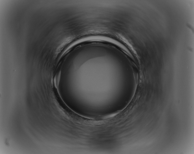 X0000093450019200710121403