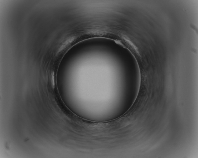 X0000093450020200710121403