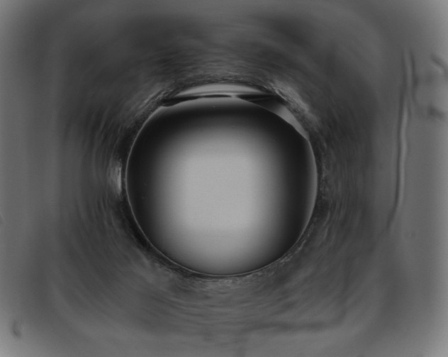 X0000093450021200710121403