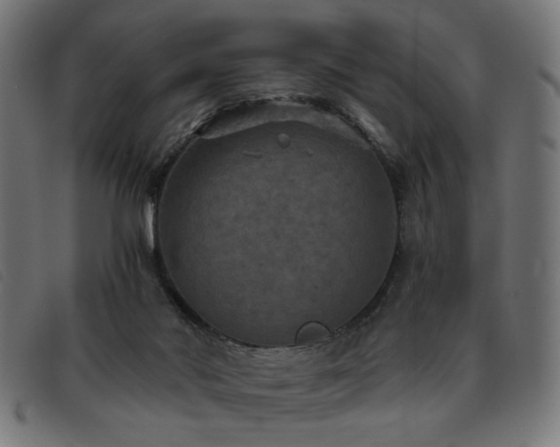 X0000093450022200710121403