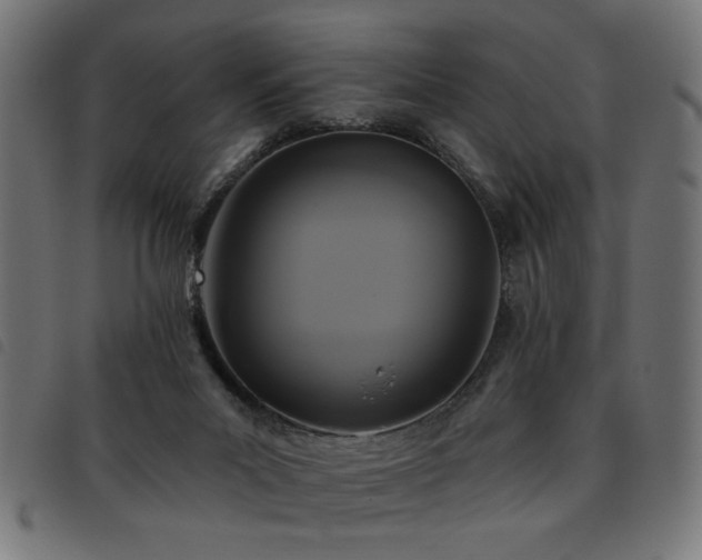 X0000093450023200710121403